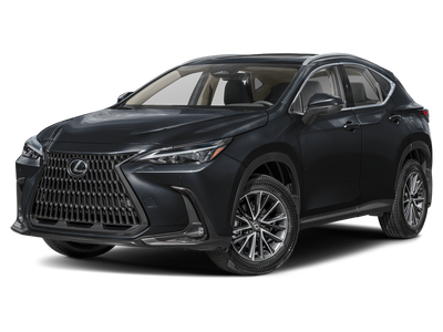 2024 Lexus NX 350 Base 350 Base w/ Cold Area Package