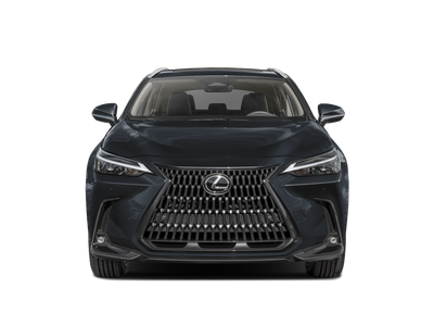 2024 Lexus NX 350 Base 350 Base w/ Cold Area Package