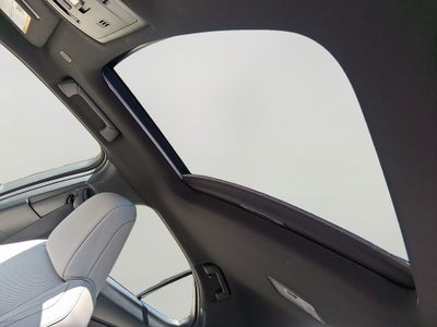 2025 Lexus UX 300h Premium 300h Premium w/ Cold Area Package
