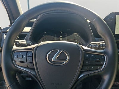 2025 Lexus UX 300h Premium 300h Premium w/ Cold Area Package