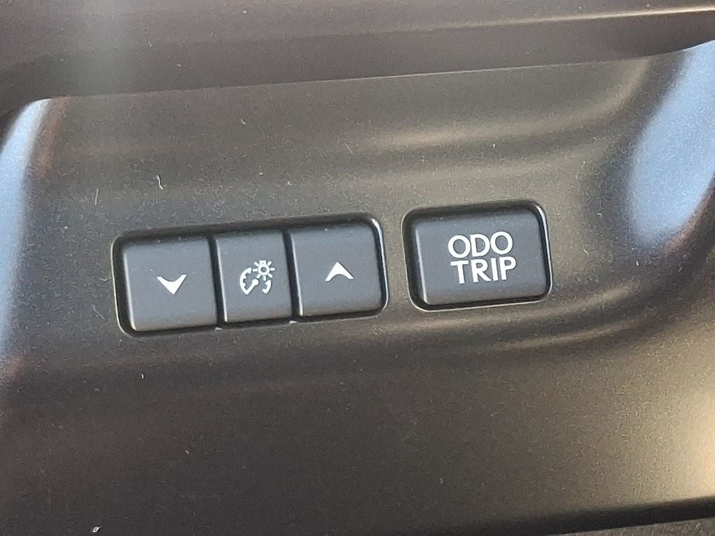 2025 Lexus UX 300h Premium 300h Premium w/ Cold Area Package