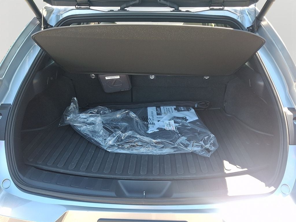 2025 Lexus UX 300h Premium 300h Premium w/ Cold Area Package