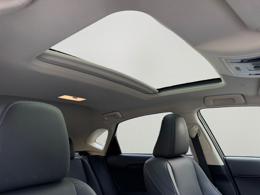 2019 Lexus NX 300h 300h w/ Comfort Package