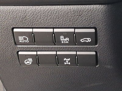 2020 Lexus NX 300 Base 300 Base w/ Comfort Package