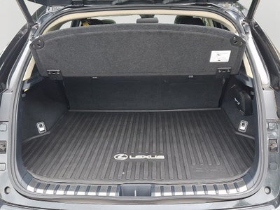 2020 Lexus NX 300 Base 300 Base w/ Comfort Package