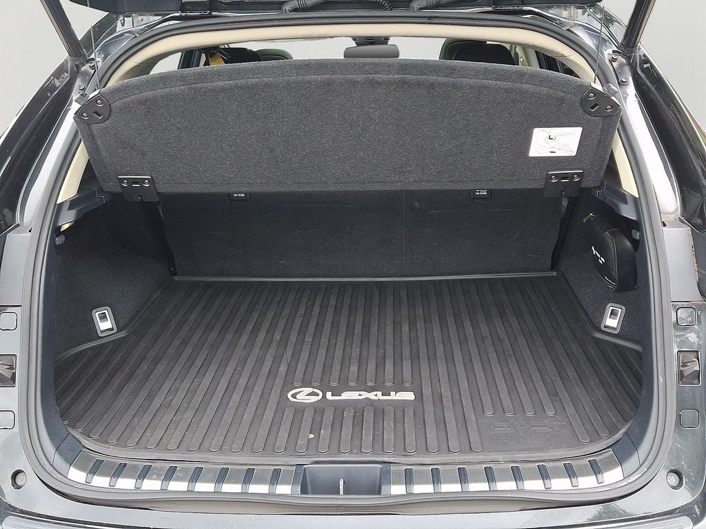 2020 Lexus NX 300 Base 300 Base w/ Comfort Package